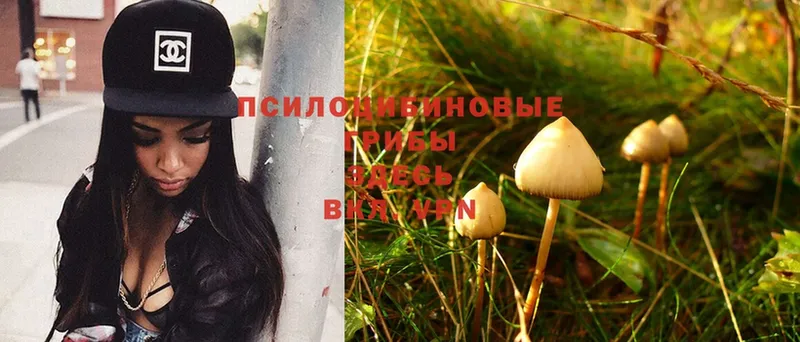 Галлюциногенные грибы Magic Shrooms  Нальчик 